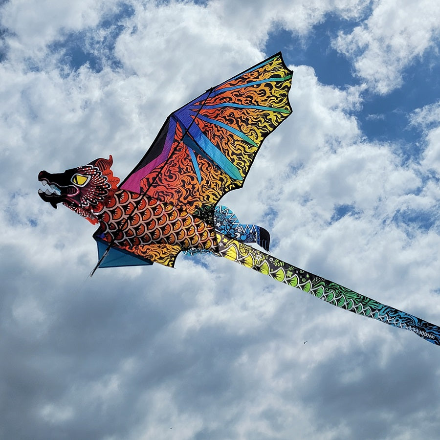 3D DRAGON-NIGHT FIRE